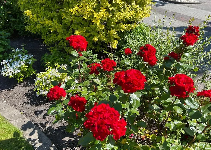 Apartment Deichblick