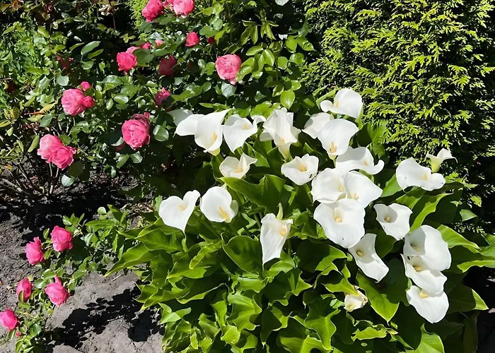 Deichblick Apartment Horumersiel